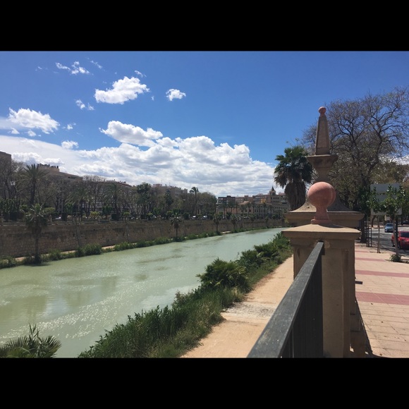 Meet your Posher, Liz - Picture 1 of 1